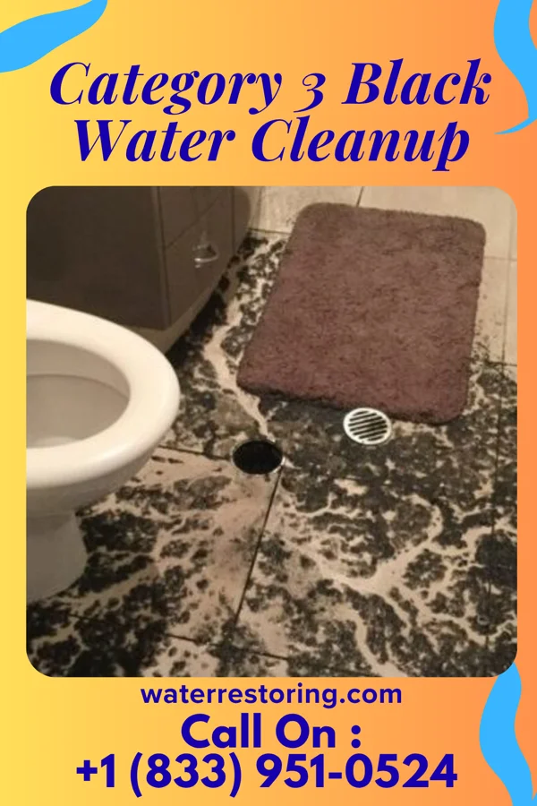 Category 3 Black Water Cleanup in Ashland, KS