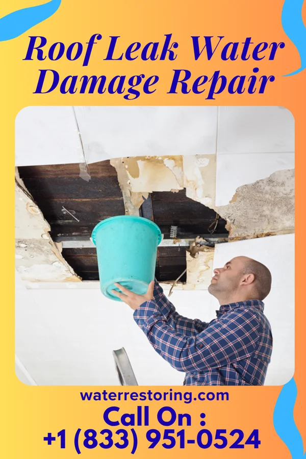 Roof Leak Water Damage Repair in Ashland, KS